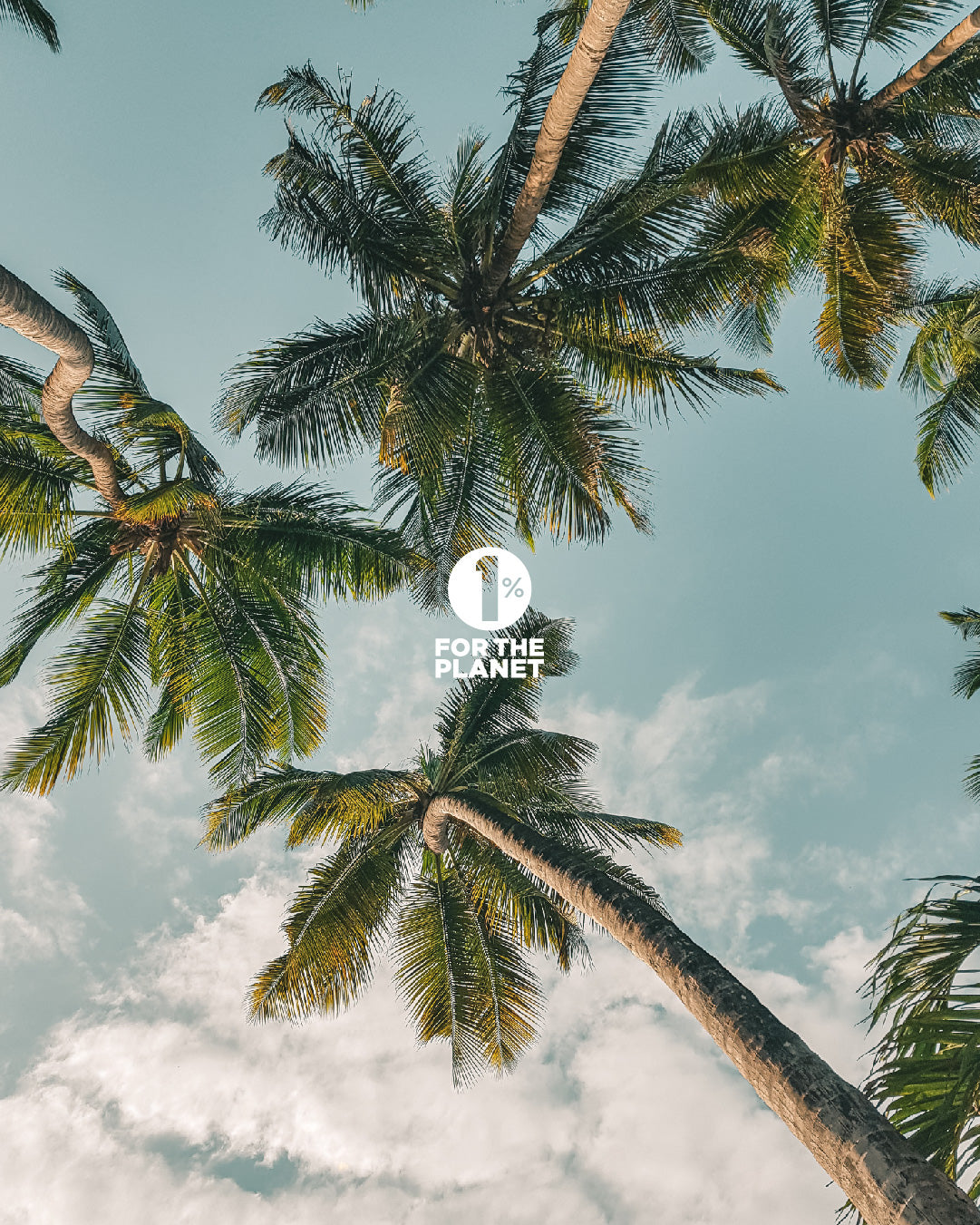 Akers Digital is Proud to be Recertified as a 1% for the Planet Corporate Member