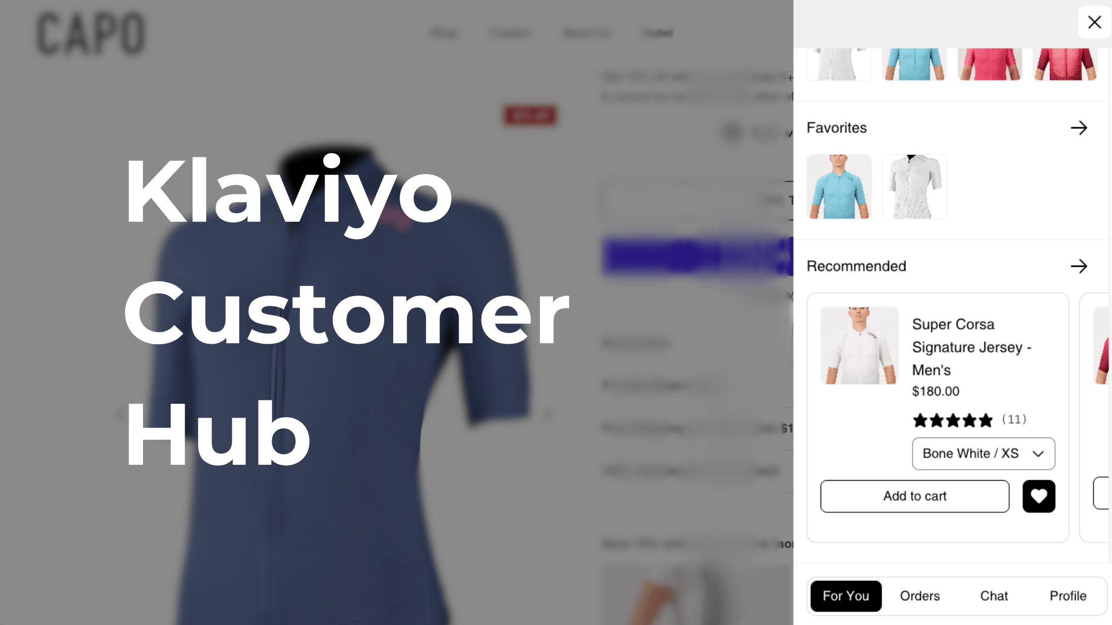 Looking to set up your Klaviyo Customer Hub?